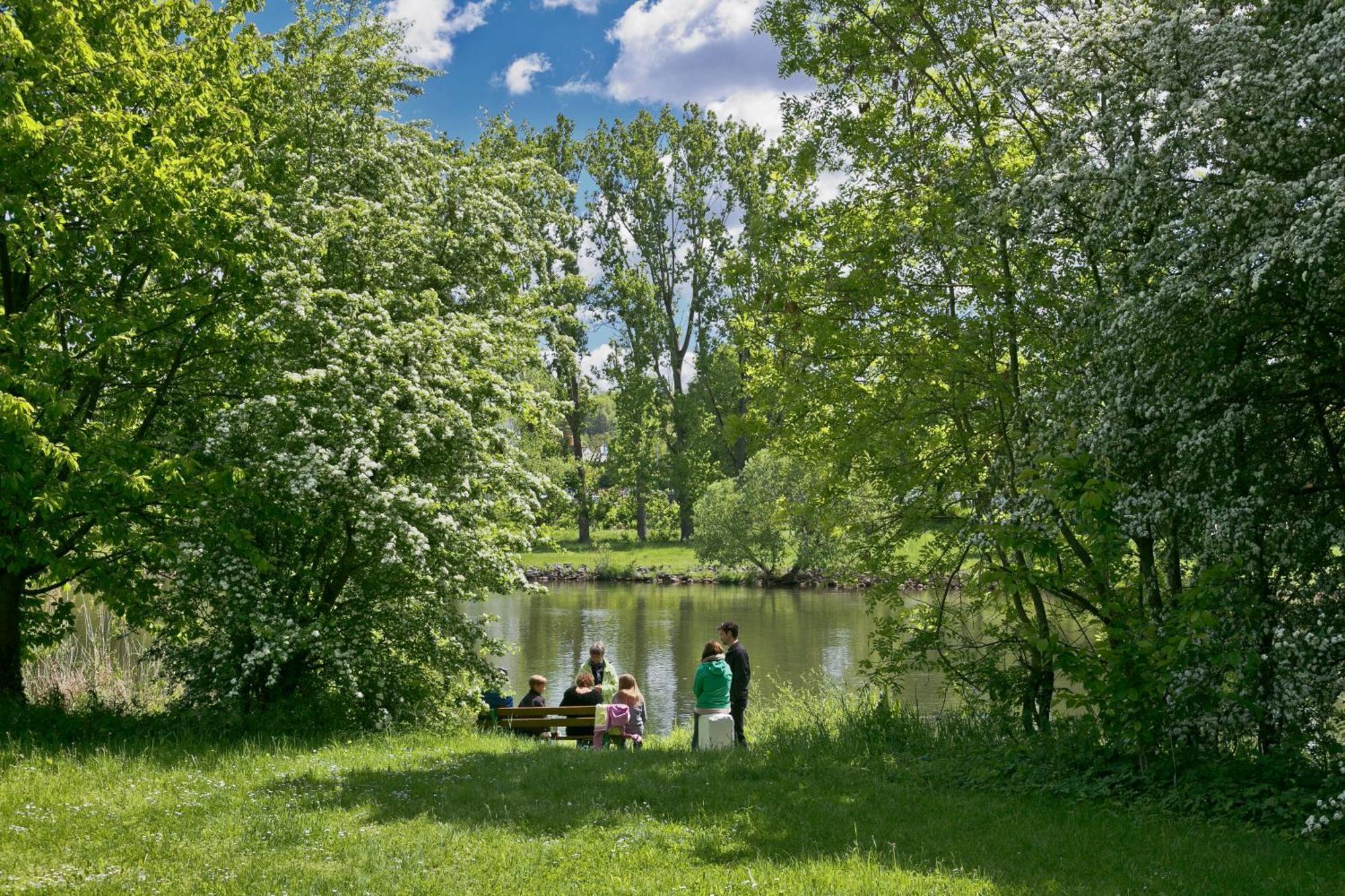 Knaus Campingpark Frickenhausen Фрикенхаузен на Майн Екстериор снимка